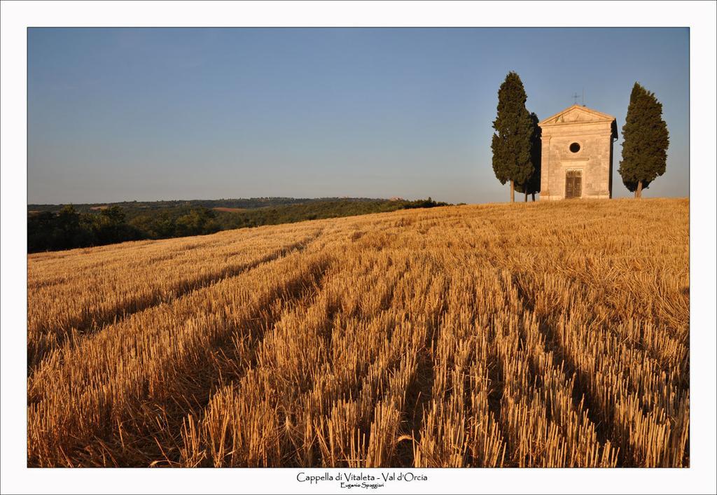 Casetta Del Pozzo 세지아노 객실 사진