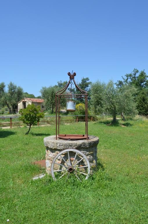 Casetta Del Pozzo 세지아노 객실 사진